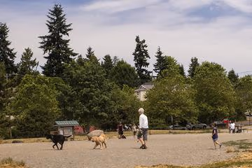 Genesee Park Off-Leash Area